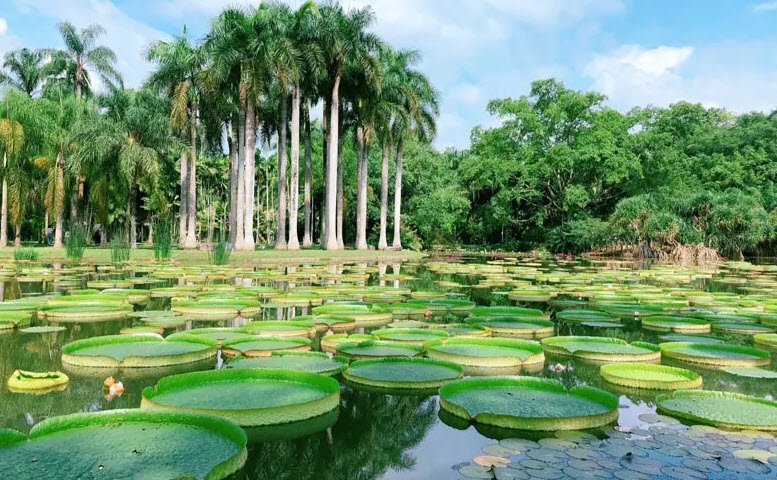 Xishuangbanna Tropical Botanical Garden, Yunnan, China